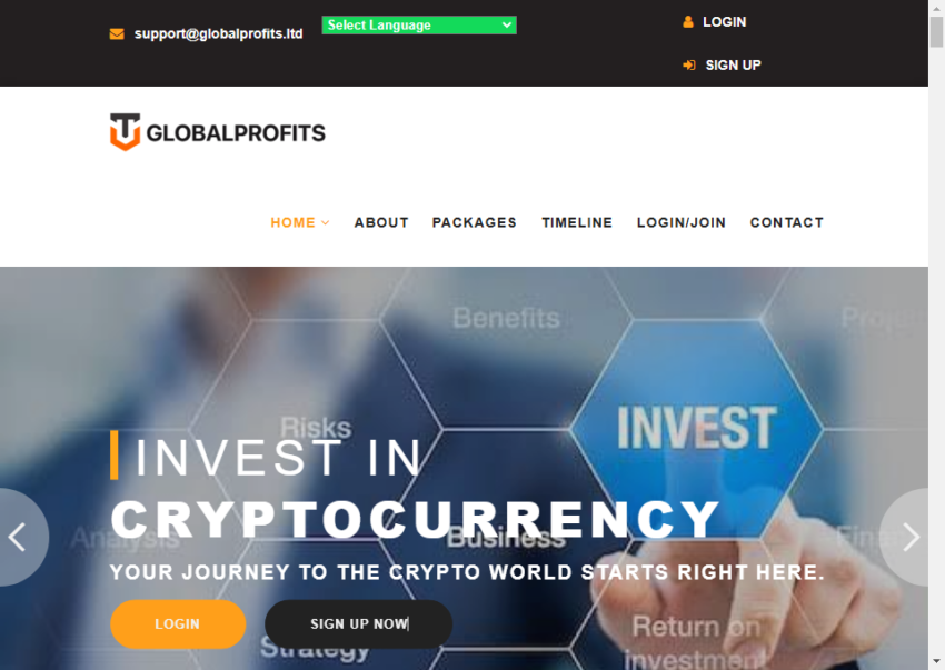 GLOBALPROFITS Review