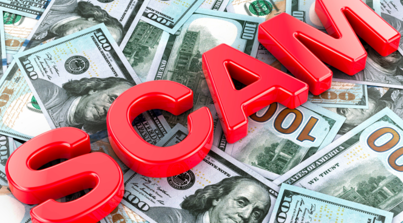 Bartis Investment Limited Review